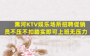 黑河KTV娱乐场所招聘促销员不压不扣踏实即可上班无压力